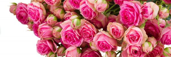 Bukiet, Roze, Rozowe, Kwiaty