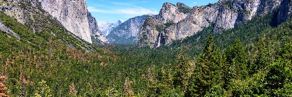 Stan Kalifornia, Dolina Yosemite Valley, Drzewa, Stany Zjednoczone, Góry, Park Narodowy Yosemite