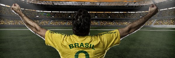 Brazylia, Mistrzostwa, Świata, 2014, Piłkarz, Stadion