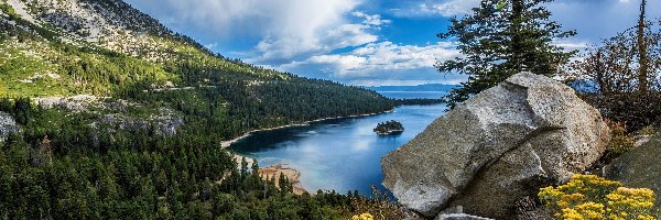 Stan Kalifornia, Lasy, Jezioro Tahoe, Stany Zjednoczone, Góry Sierra Nevada, Kwiaty, Kamienie