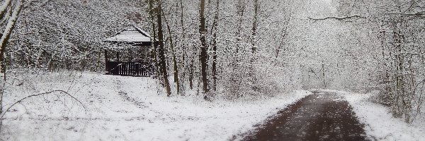 Drzewa, Śnieg, Budka, Droga