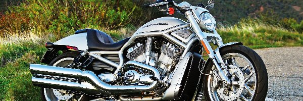 V-Rod, Harley-Davidson
