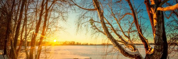 Zima, Promienie Słońca, Jezioro, Drzewa, Pomost