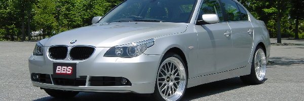 BMW 5, E60, Srebrny, Drzewa, Plac