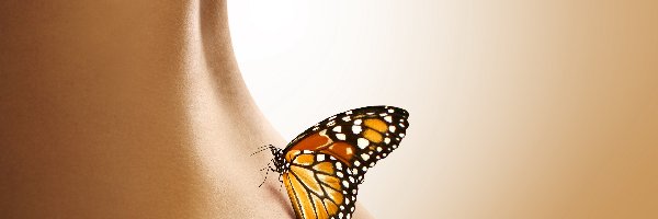 Kobiety, Ciało, Motyl