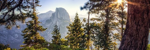 Góry, Park Narodowy Yosemite, Szczyt Half Dome, Stan Kalifornia, Stany Zjednoczone, Drzewa, Wschód słońca