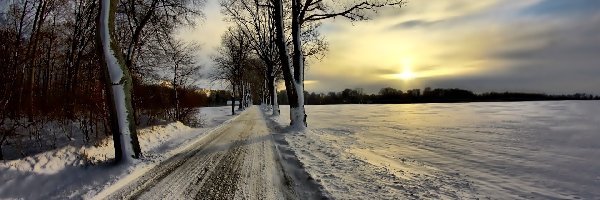 Droga, Słońce, Drzewa, Zima