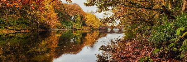 Mostek, Jesień, Drzewa, Rzeka