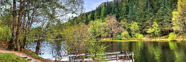 Góra Pap of Glencoe, Szlak Glencoe Lochan, Drzewa, Jesień, Jezioro, Pomost, Lasy, Szkocja