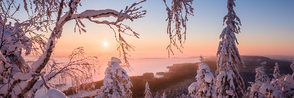 Jezioro Pielinen, Region Karelia Północna, Mgła, Promienie słońca, Park Narodowy Koli, Zima, Drzewa, Finlandia