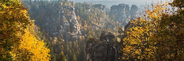 Drzewa, Park Narodowy Saskiej Szwajcarii, Formacja skalna Bastei, Jesień, Góry Połabskie, Niemcy