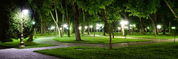 Park, Drzewa, Alejki, Noc, Latarnie