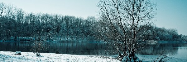 Zima, Drzewa, Rzeka