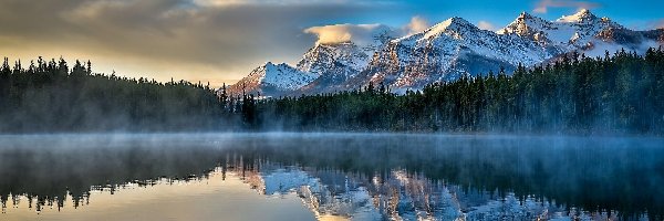 Odbicie, Jezioro Herbert, Las, Park Narodowy Banff, Kanada, Mgła, Góry