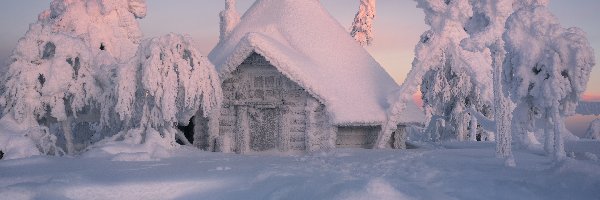 Dom, Zima, Ośnieżony, Śnieg, Drzewa