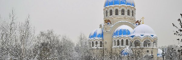 Cerkiew, Zima, Kopuły, Drzewa, Śnieg