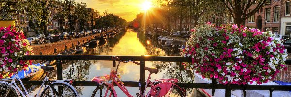 Rowery, Poranek, Most, Kwiaty, Rzeka, Amsterdam