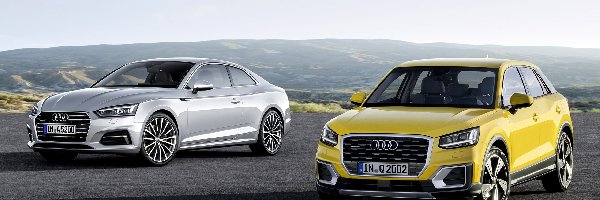 Audi S5, Audi A5, Dwa