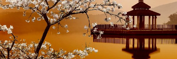Drzewo, Góry, Kwitnące, Japonia, Pomost, Rzeka