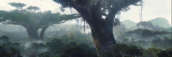 Mgła, Dżungla