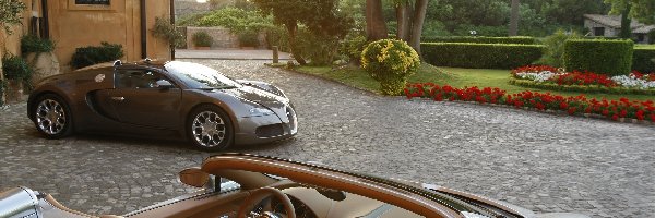 Dom, Ogród, Samochód, Bugatti Veyron