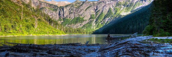Góry, Park Narodowy Glacier, Jezioro Avalanche, Kłody, Stan Montana, Stany Zjednoczone
