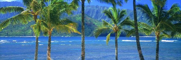 Hawaje, Woda, Kauai, Hamak, Palmy
