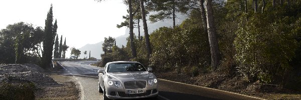 Droga, Kręta, Bentley Continental