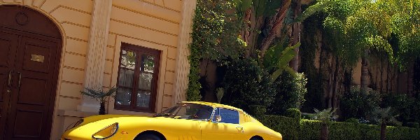 Żółte, Lewy, Bok, Ferrari 275