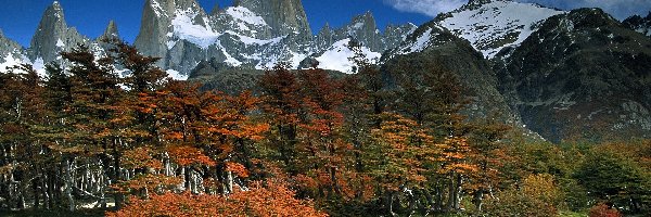 Park, Glaciares, Narodowy, Patagonia
