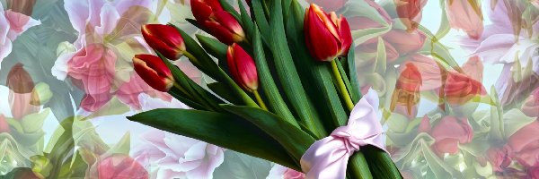 Kwiaty, Bukiet, Tulipany, Grafika, Kokarda