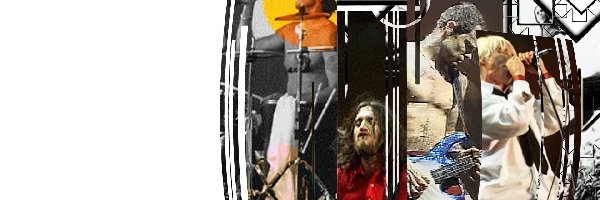 Red Hot Chili Peppers, gitara , zespół