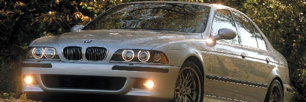 E39, BMW 5, BMW Seria M