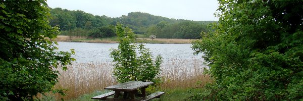 Drzewa, Ławeczka, Jezioro