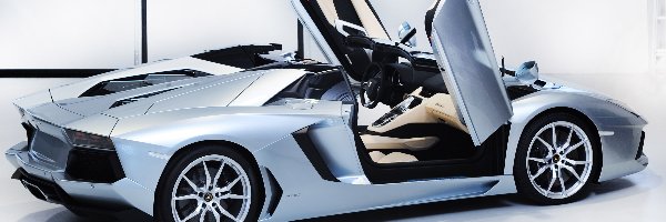 Roadster, Aventador, Lamborghini