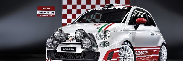 Halogeny, Abarth 500, Rajdowy