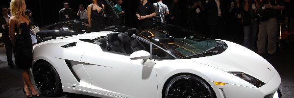 Modelki, Prezentacja, Lamborghini Gallardo