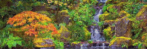 Portland, Drzewa, Stany Zjednoczone, Portland Japanese Garden, Roślinność, Wodospad, Skały, Ogród japoński, Krzewy, Oregon
