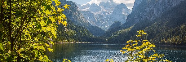Austria, Alpy Salzburskie, Lasy, Góry, Jezioro Gosauseen, Powiat Gmunden, Drzewa