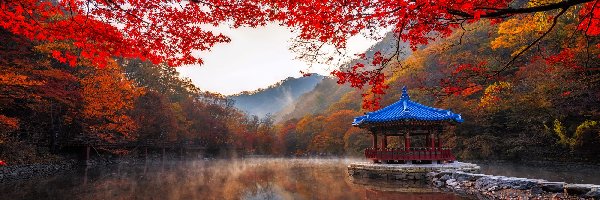 Korea Południowa, Staw, Altana, Drzewa, Park Narodowy Naejangsan, Jeongeup, Jesień