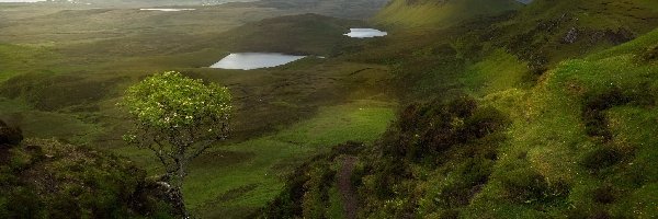 Wyspa Skye, Chmury, Roślinność, Jeziora, Wzgórza, Szkocja, Quiraing, Drzewo, Osuwisko