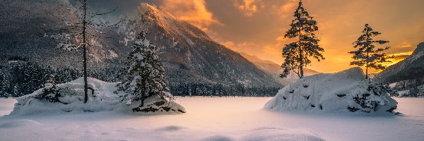 Zachód słońca, śnieg, Niemcy, Bawaria, Drzewa, Góry Alpy, Jezioro Hintersee, Zima