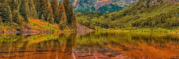 Lasy, Jezioro Maroon Lake, Góry Skaliste, Kolorado, Stany Zjednoczone, Drzewa, Szczyty Maroon Bells