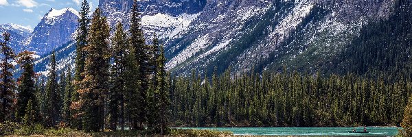 Kanada, Góry, Drzewa, Park Narodowy Jasper, Jezioro Maligne Lake, Prowincja Alberta, Lasy