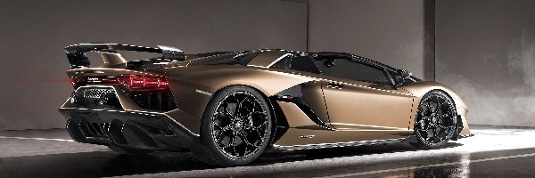 Bok, Roadster, Lamborghini Aventador SVJ
