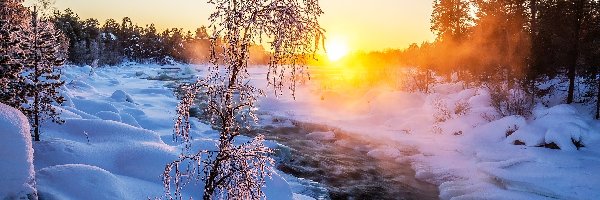 Rzeka Juutuanjoki, Wschód słońca, Drzewo, Śnieg, Mgła, Zima, Oszronione, Finlandia, Laponia