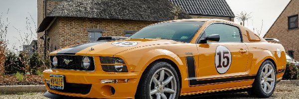 Saleen, Ford Mustang 302
