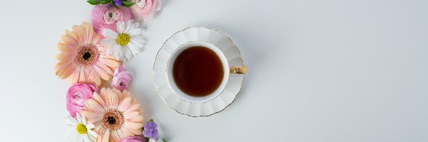 Herbata, Kwiaty, Filiżanka, Jaskry, Gerbery