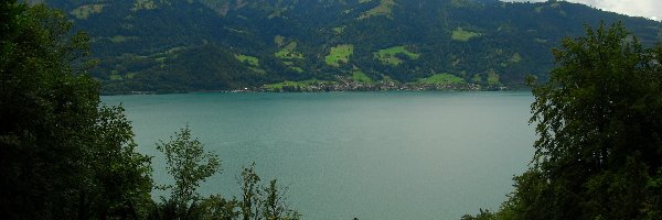 Kanton Berno, Jezioro Thunersee, Drzewa, Szwajcaria, Alpy Berneńskie, Góry