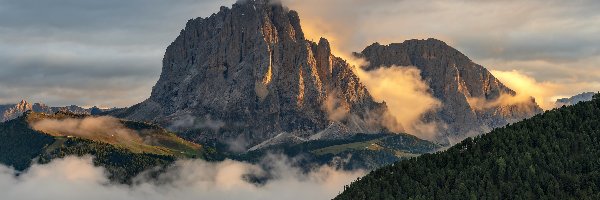Trydent-Górna Adyga, Mgła, Lasy, Włochy, Dolomity, Góry